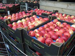 depozit sortat mere austria