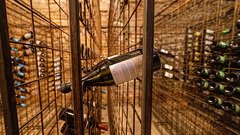 depozite vinuri germ