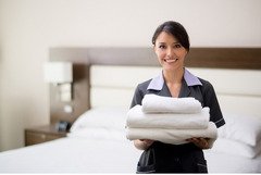 domeniul hotelier germ