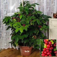 agricultura germ angajare