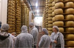 fabrica covrigi germ