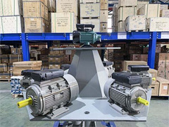 Motor Electric Trifazat 3000 RPM – Toate Modelele, Preturi Diferite - 2