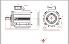 Motor electric trifazat 37kw 1400rpm 225 B3 - 2