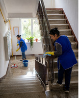 Servicii de Curatenie In Scari de Bloc - Timisoara